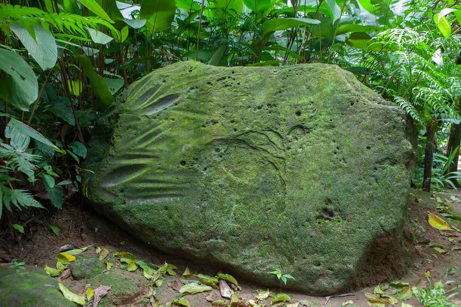 تمدن باستانی اولمک - 2