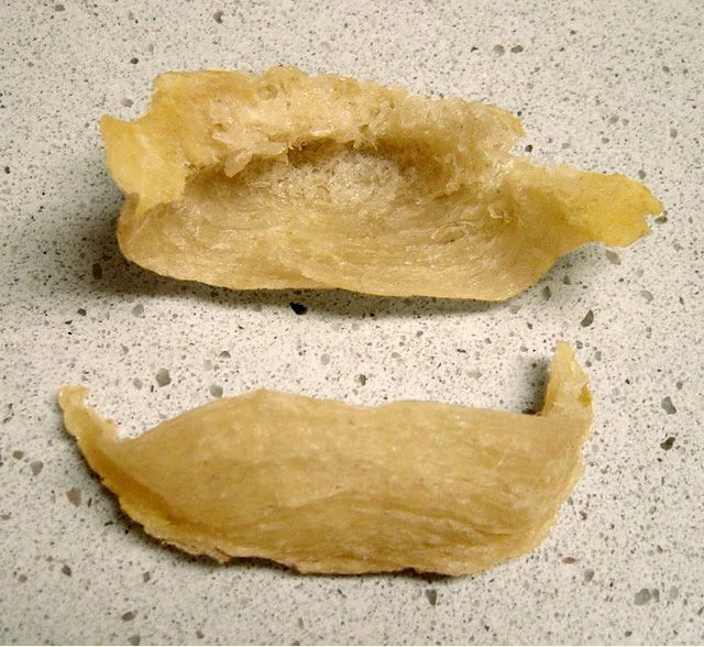 تصویر پرستوهای خوراکی‌لانه