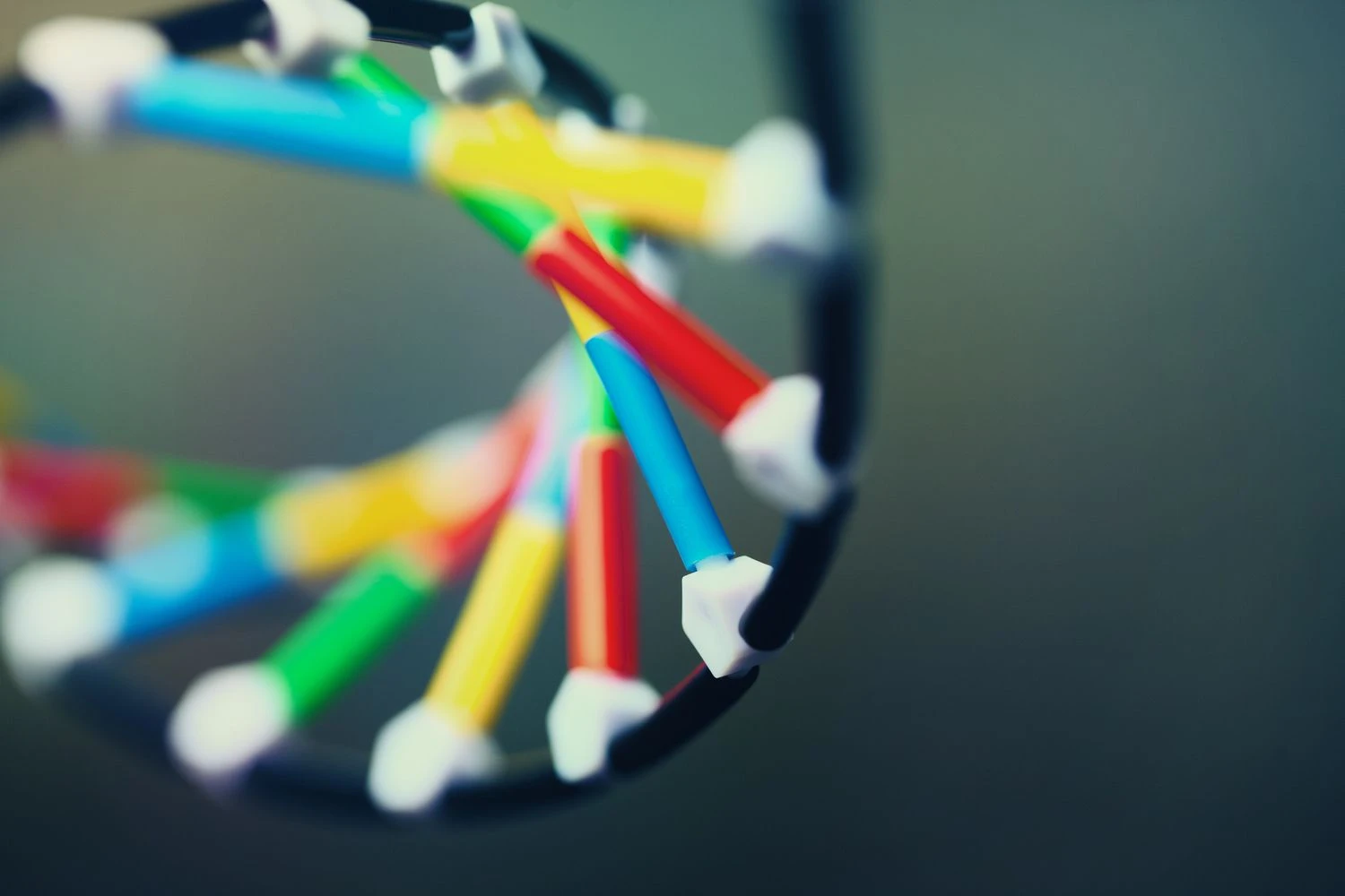 مدل مارپیچ دوگانه DNA