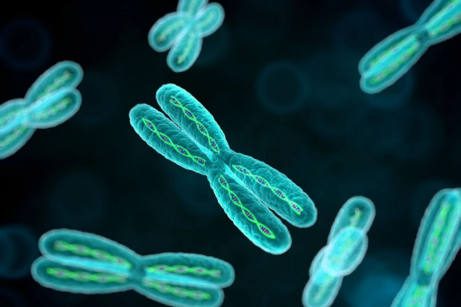 کروموزوم ها، آثار هنری