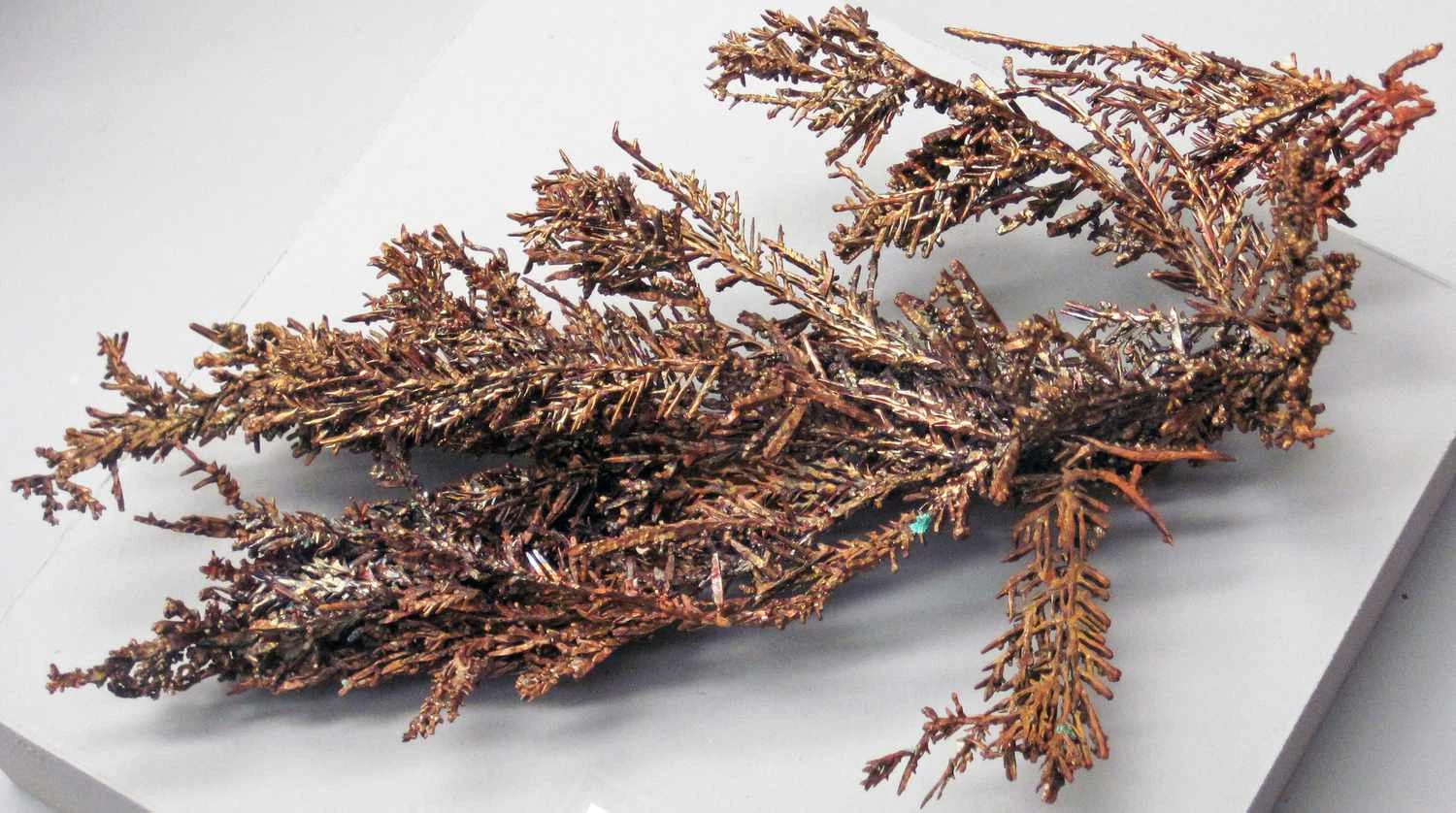 مس در حالت دندریتی