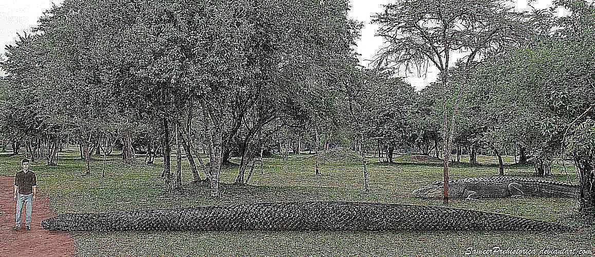 تایتانوبوآ در مقایسه با انسان