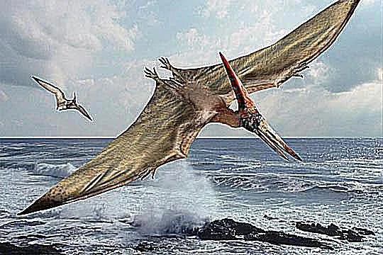 تصویری از پترانودون در حال راه رفتن