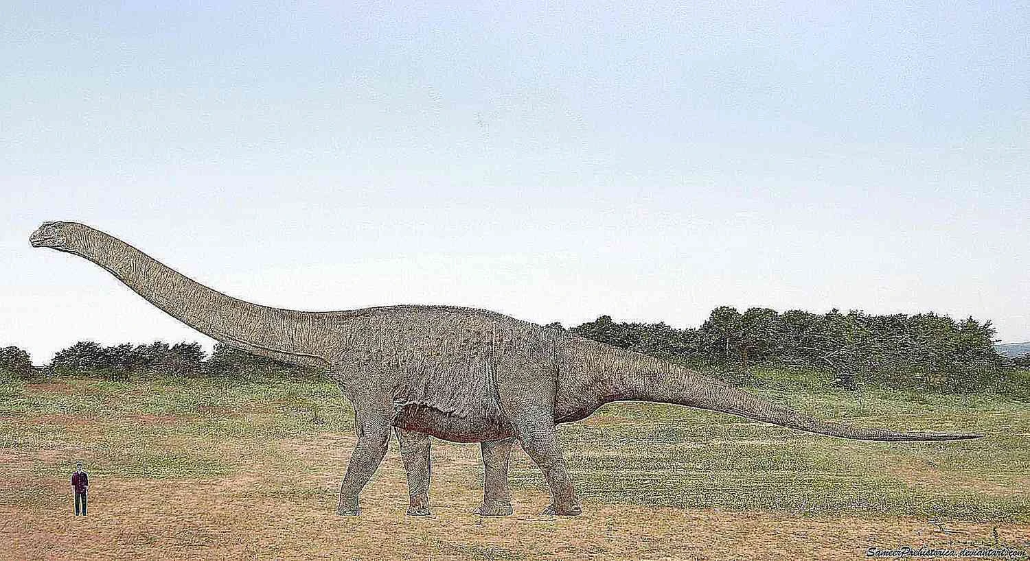 آرژانتیناسوروس در مقایسه با انسان