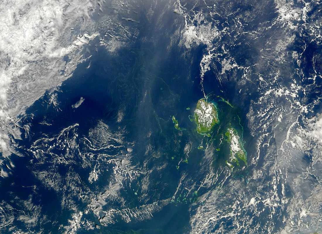 تصویری از شکوفایی سیانوباکتری‌ها که باعث بحران بزرگ اکسیژن‌زایی شد