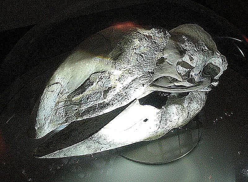 بولاکورنیس