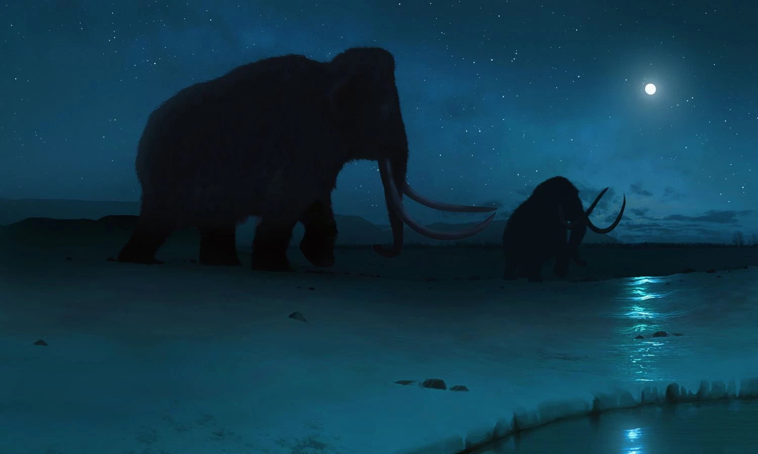 تغییرات اقلیمی - چرا حیوانات منقرض می شوند؟