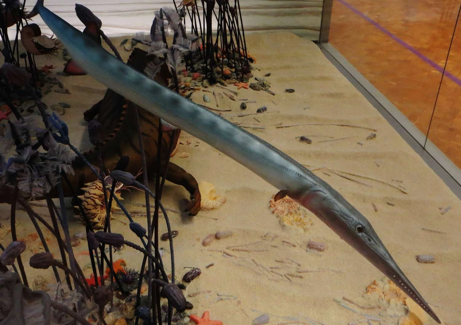 طرح تمام رنگی از سوریکتیس